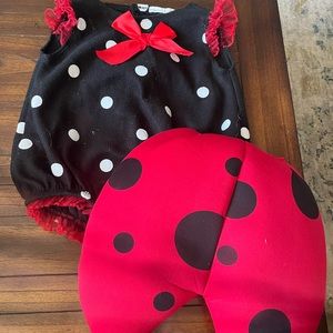 9-12 Month Ladybug Costume